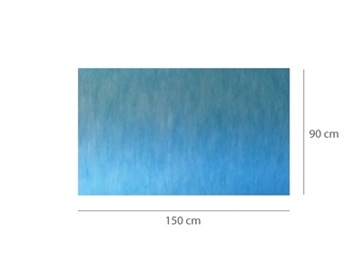 Picture of IMPERMEABLE, ABSORBENT, PRE-CUT MATS 90x150 cm, 40 pcs.