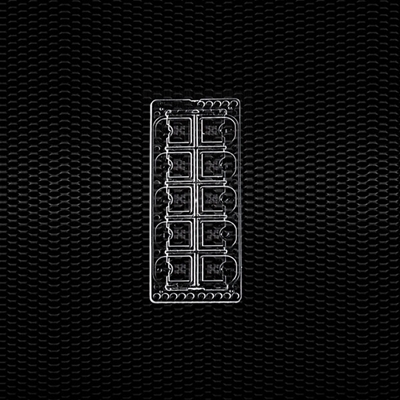 Picture of Slides for urinary sediment “PENTA SQUARE” with marked grid 0,076 mm 100pcs