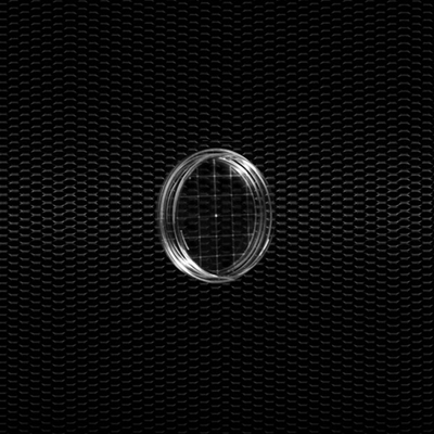 Picture of Polystyrene “Contact” Petri dishes Ø 55 mm with vents with counting grid STERILE R 100pcs