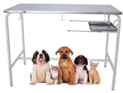 Picture of VETERINARY EXAMINATION TABLE