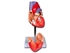 Picture of VALUE HEART - 2 parts - 1X 1pcs