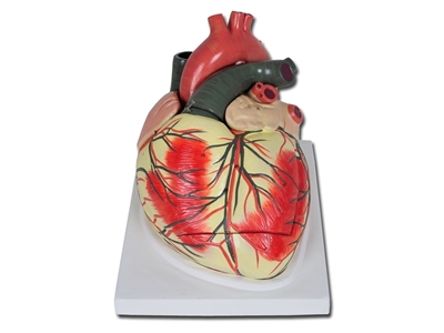 Picture of VALUE HEART - 3 parts - 3X 1pcs