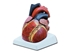 Picture of  HEART - 4 parts - 3X 1pcs