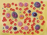 Show details for  BLOOD CELLS - 2000X 1pcs