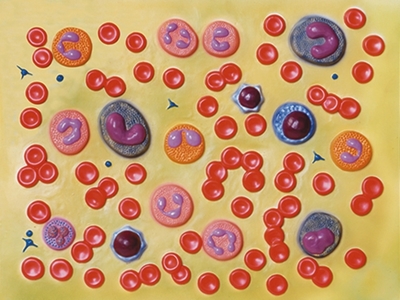 Picture of  BLOOD CELLS - 2000X 1pcs