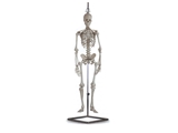 Show details for  MINI SKELETON 1pcs