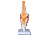 Show details for  VALUE KNEE JOINT 1pcs