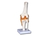 Picture of  VALUE KNEE JOINT 1pcs