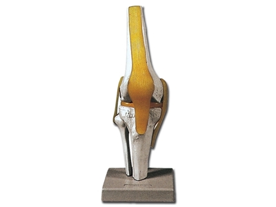 Picture of  KNEE JOINT 1pcs