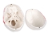 Picture of  VALUE HUMAN SKULL - 1X - numerated 1pcs