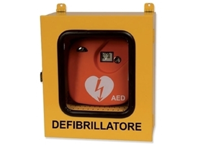 Picture of CABINET WITH THERMO AND ALARM FOR DEFIBRILLATORS - outdoor use