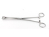 Picture of FOERSTER FORCEPS 25 cm, 1 pc.