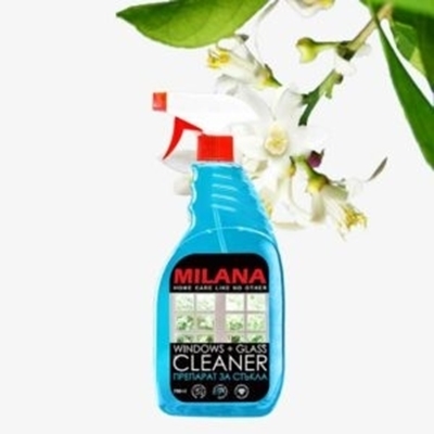Picture of Cleaning spray for windows & glass surfaces