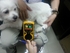 Picture of OXY-100 VET PULSE OXIMETER, 1 pc.