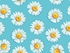 Picture of FUNNY CAP - Daisy - M, 1 pc.