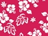 Picture of FUNNY CAP - Tropical - M, 1 шт.