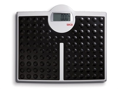 Picture of  SECA 813 DIGITAL FLAT SCALE