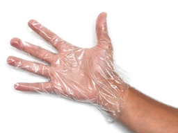 Show details for COPOLYMER GLOVES, ON PAPER, LARGE, STERILE, 100 PCS.